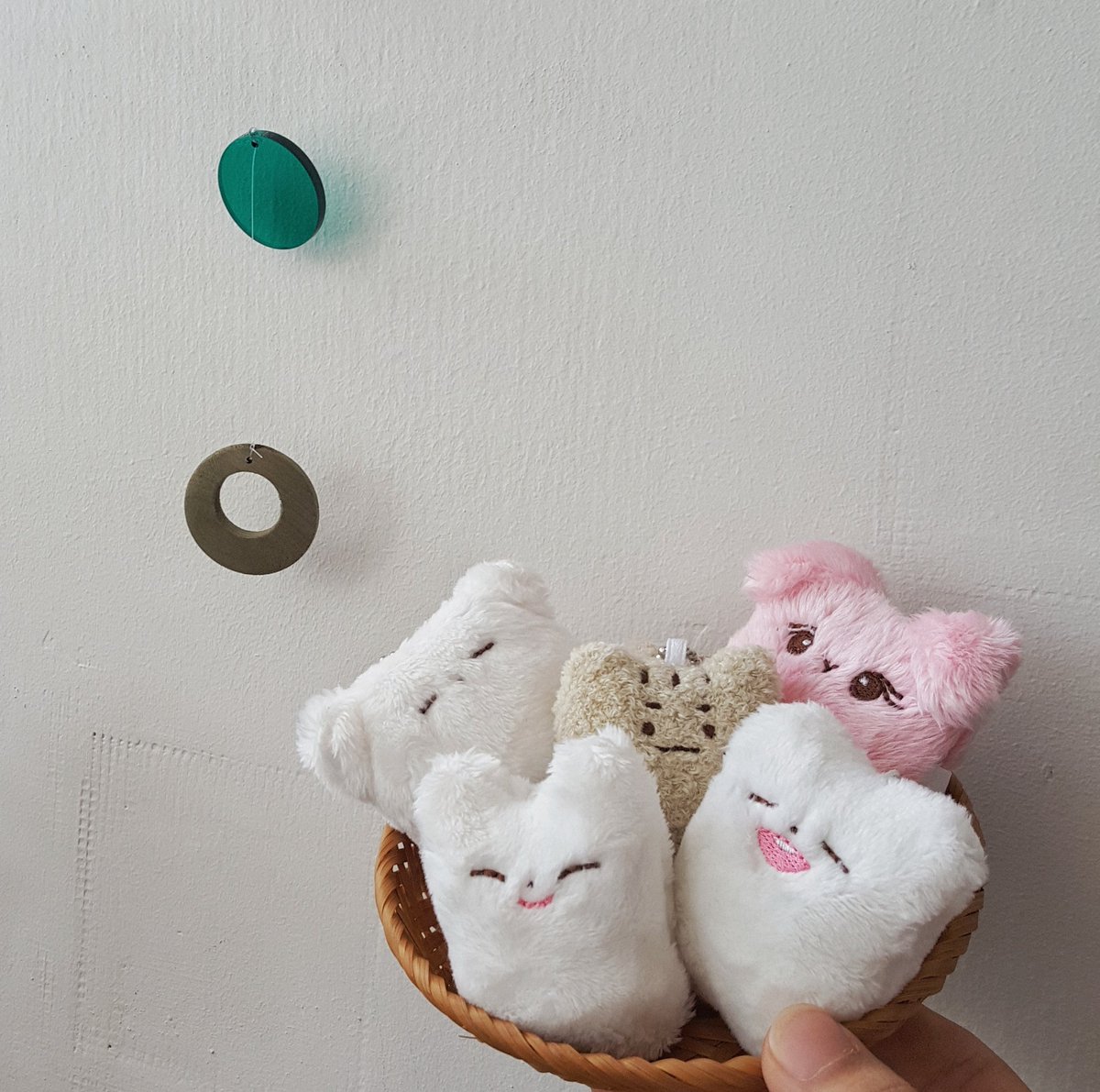 동물 한 바구니(?) 사세요 #MGMAVOTE #박지훈