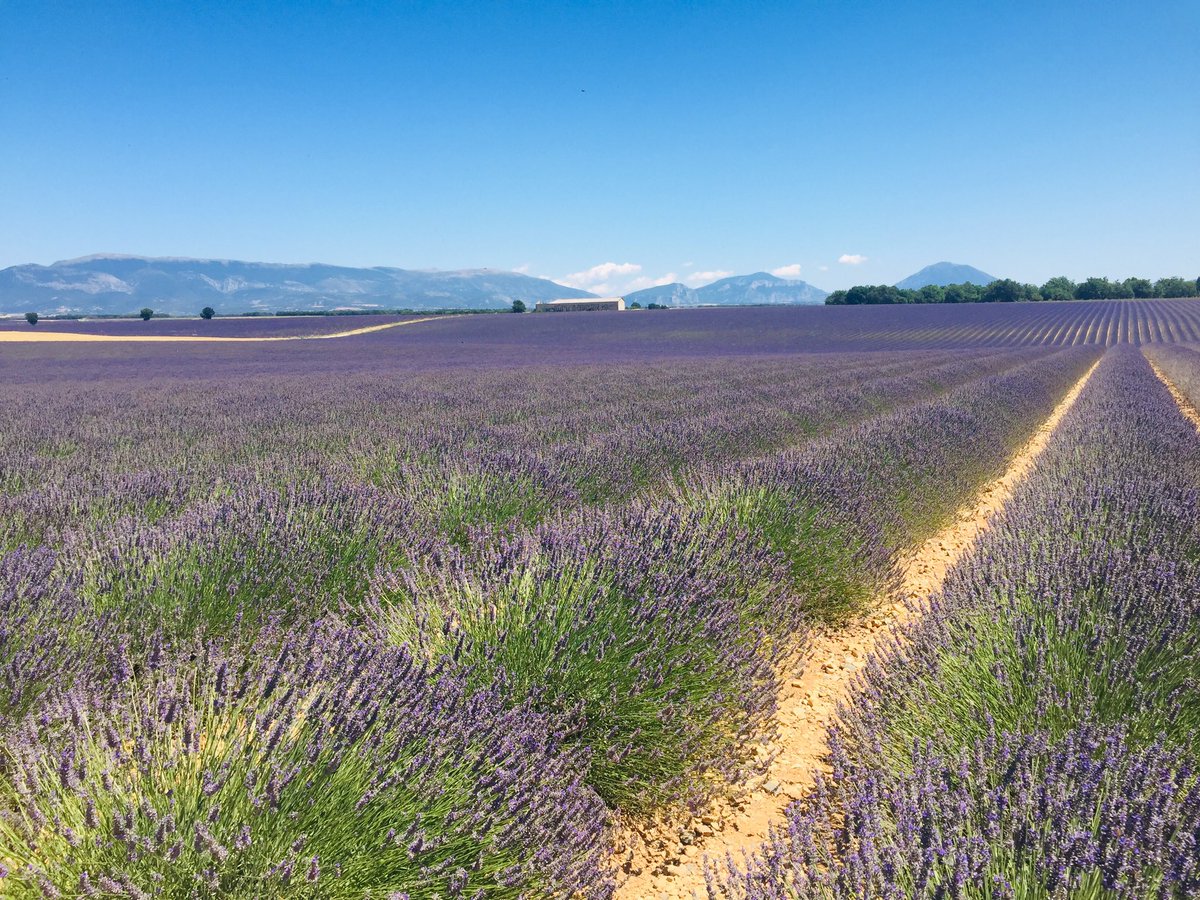 AlexiaCornea's tweet photo. Vive la France et sa beauté! ❤️🇫🇷  #France https://t.co/DWery0WozT