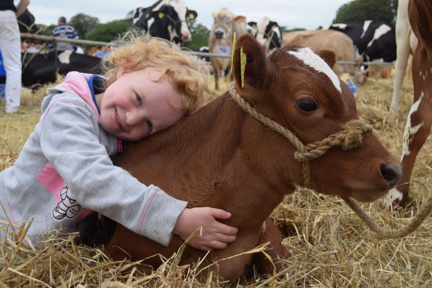 Athwenna Irons tweet media