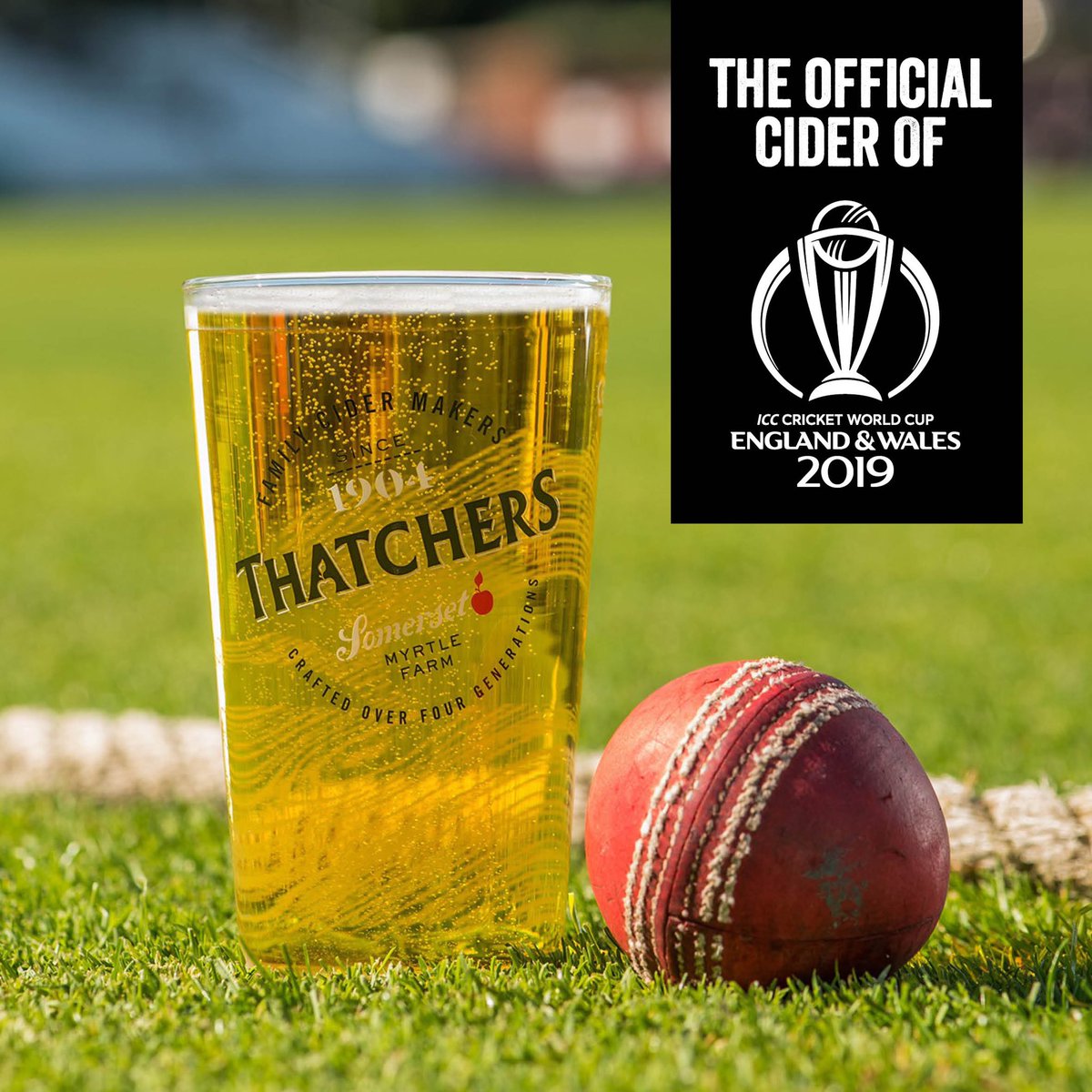 The final of the 2019 <a href="/cricketworldcup/">ICC Cricket World Cup</a> is here! A day filled with cricket and cider, howzat for a perfect match! 🏏🍎