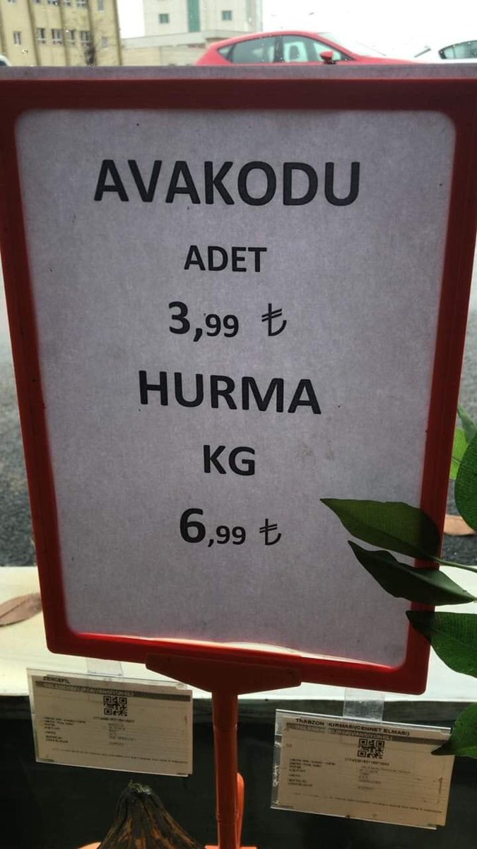 bgraaa3's tweet photo. Bu halk daha avokadonun yazılışına adapte olamadı kardeşim. Ne bilsin Amerikan Armudunu 😁

 #kpss2019 https://t.co/OrctHbvM2c