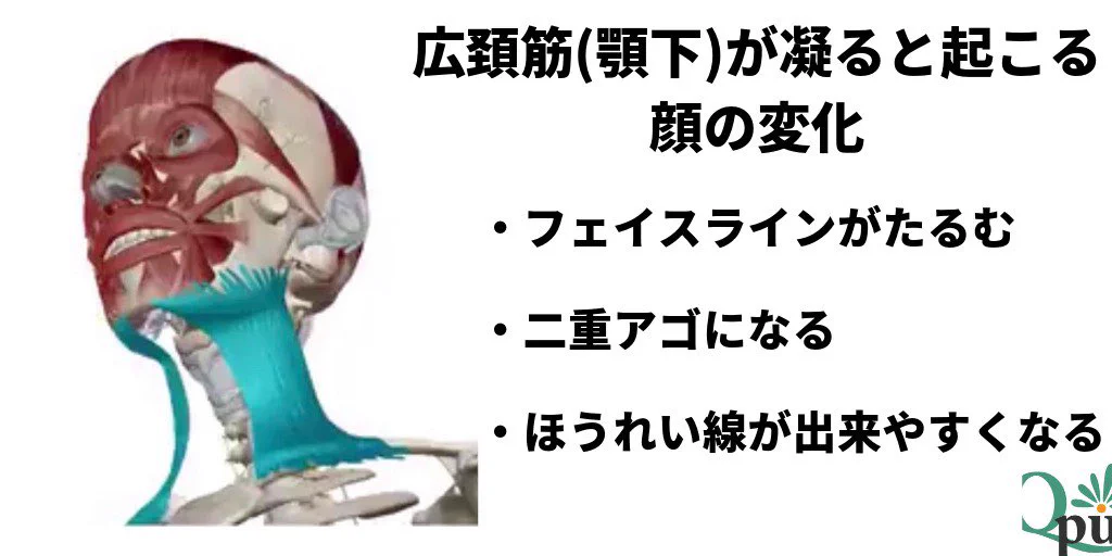 二重アゴが改善しアゴスッキリ！？簡単小顔マッサージがこれ！