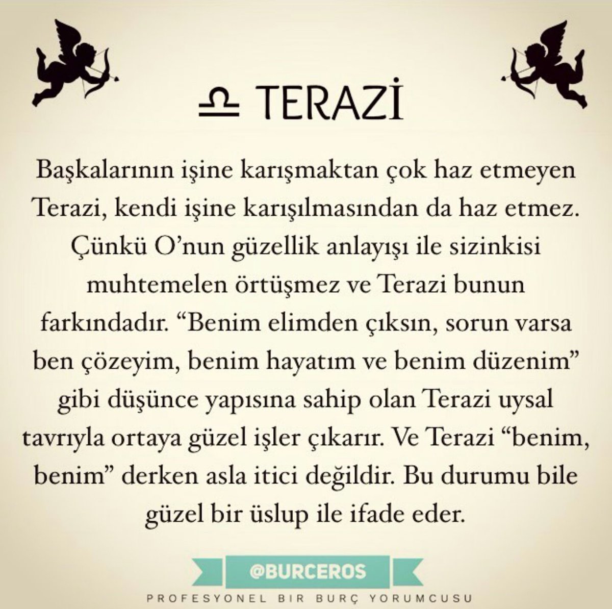 Bayaadır burcumu övmemişim😌 şuraya bırakıyorum 👇