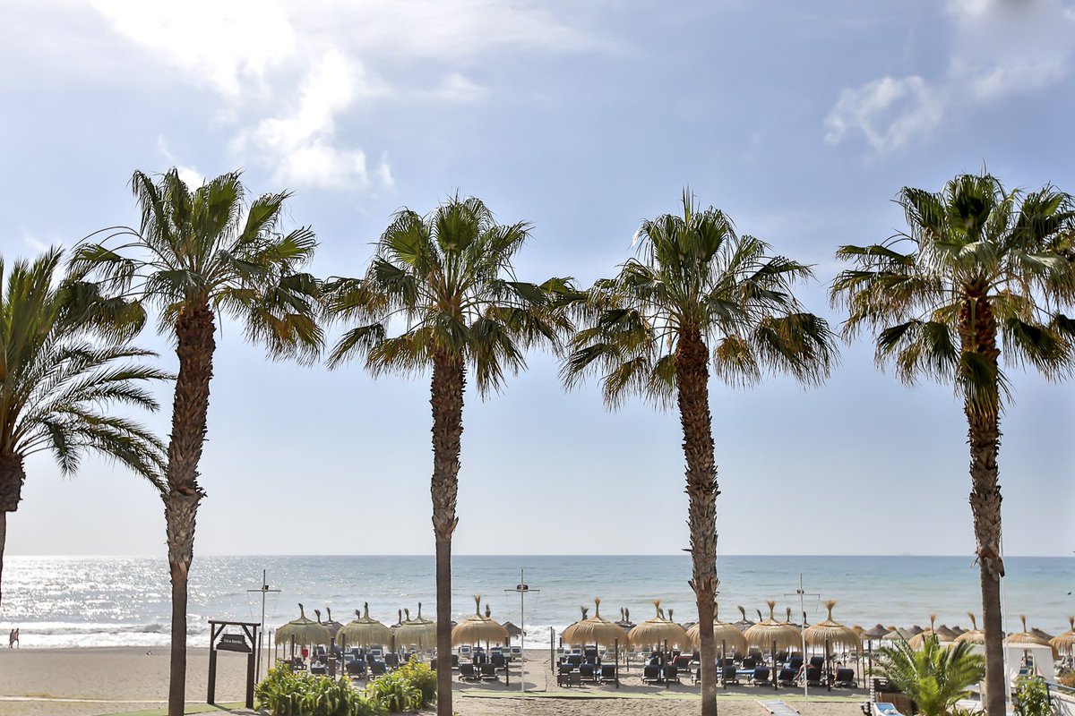 Cocobambu_rest's tweet photo. En #CocoBambu lo tenemos todo preparado para que disfrutes tu día de #playa 🏖️🏄♂️ La mejor #cocina #surfera traida de todo el mundo y nuestras #hamacas junto al #mar 😍 ¿A qué estás esperando?
#Torremolinos #Bajondillo #verano #vacaciones #restaurante #surf #nuevacarta https://t.co/ZBYvjM65As