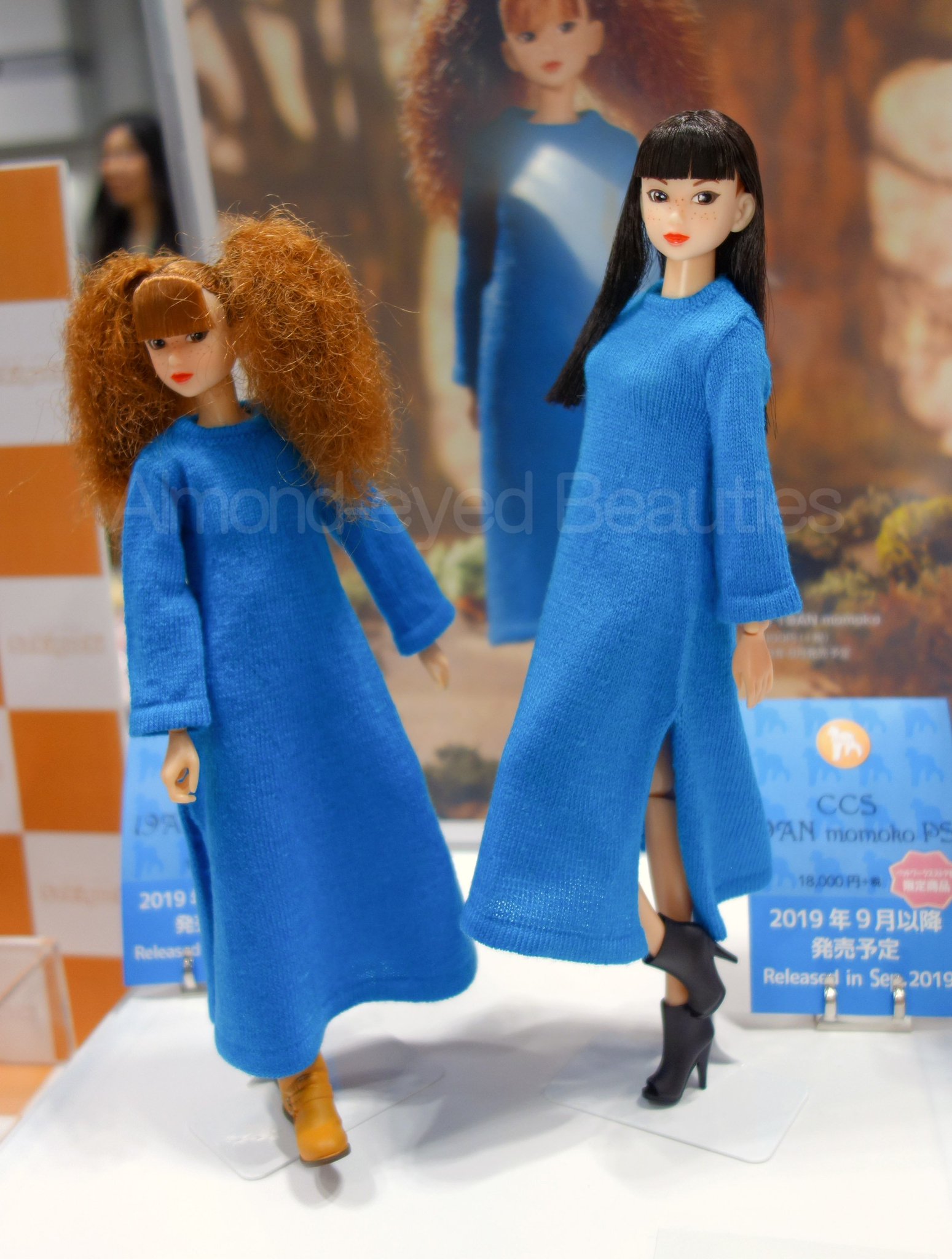 ペットワークス モモコドール CCS 19AN momoko 本体のみ（CCS 19AN 