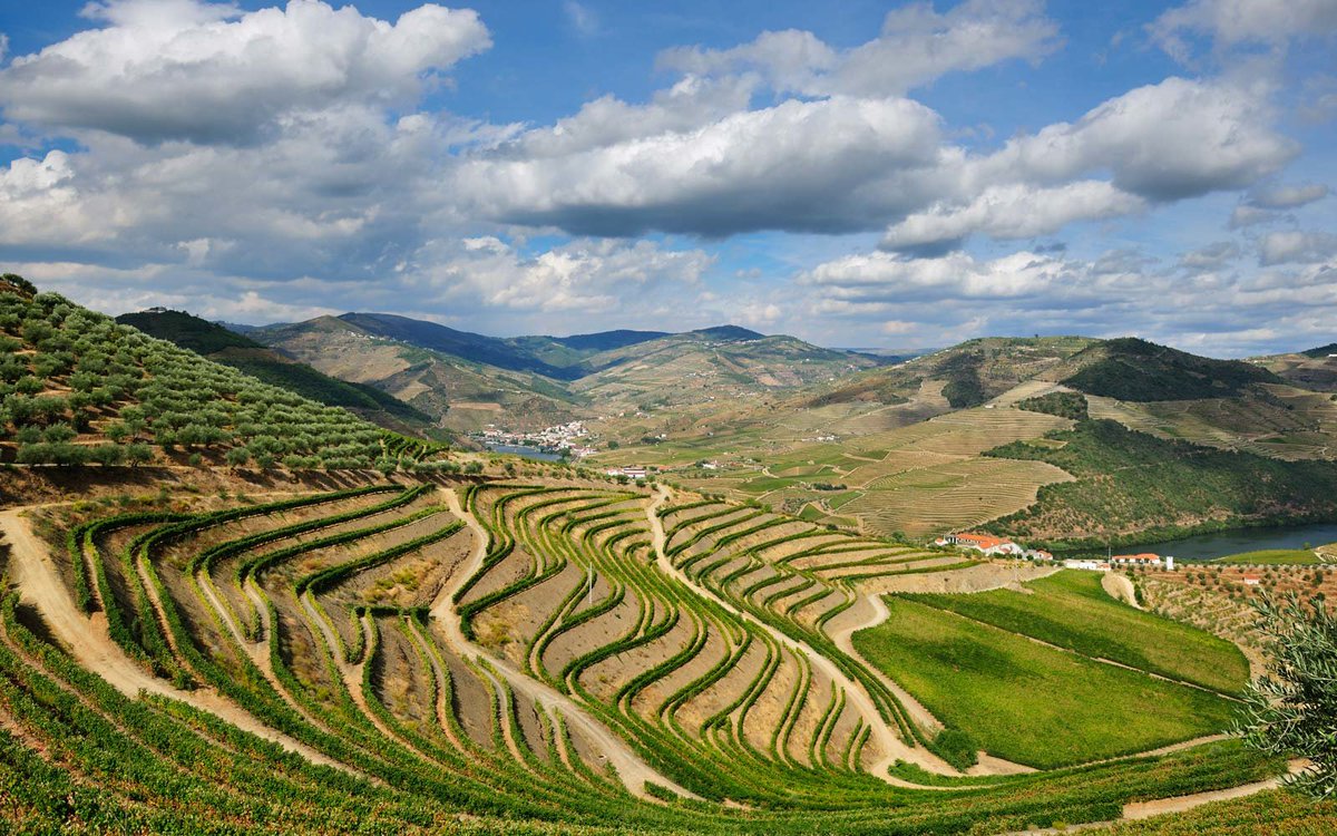 #Portugal, especially #DouroValley, is sometimes considered as the country which is home to the most beautiful vineyards in the world, just take a look.. 

#InnesAndMason #Wine #WineLover #Weekend #WeekendVibes #WinePhotography #WineTravel #CellarSelection #WineCountry #Sunday