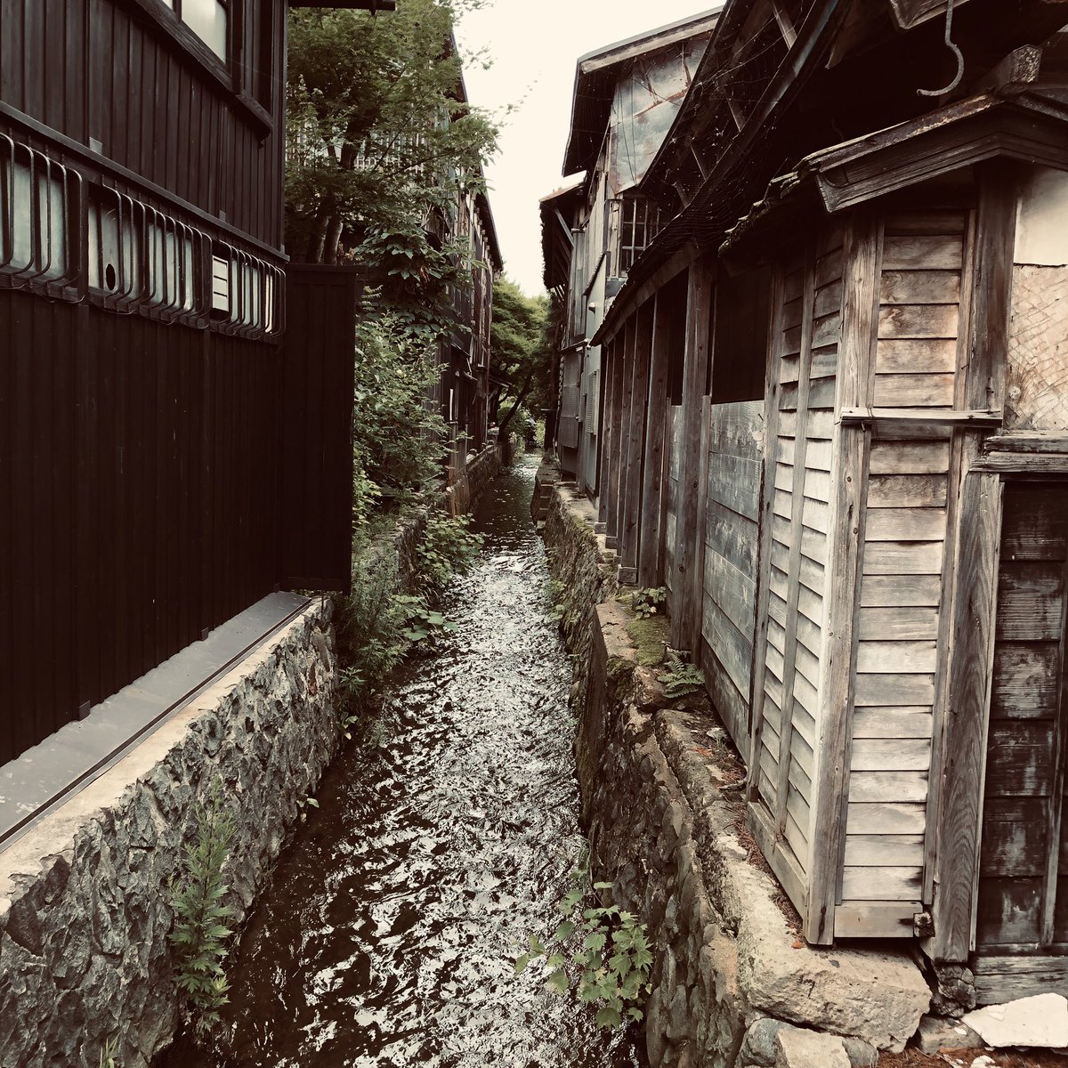 ハガレン展行ってぶらぶら散策してきた〜!蔵見学して塩おかきのせソフトクリーム食べたった🍦 