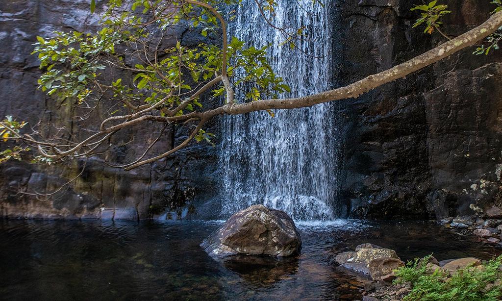 ExploreVenda's tweet photo. The all so beautiful Venda.
📷: @Guruabstract

#Venda #exploringWithoutlimits #waterfall #waterslide #WaterfallHunters #Nature #NaturalPool #travel #TravelDiary #TourVenda #TheBigTree #southafrica #shortleft #dzimauli #tshatshingopotholes https://t.co/AnUqsMNJ5s
