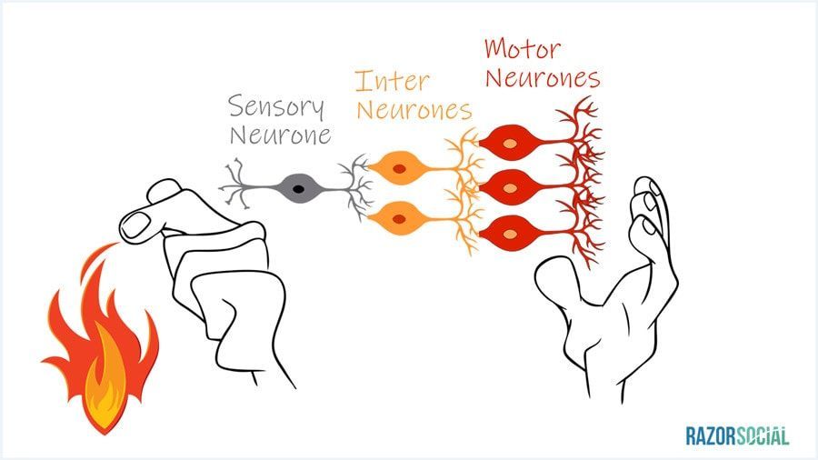 ethansilver73's tweet image. #ArtificialIntelligence:  A #ModernApproach to #Marketing #StayUpToDate bit.ly/2Gs3BSB