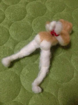 画像 / Picture