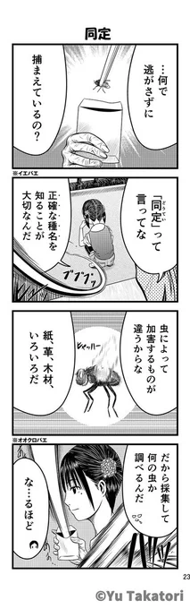 同定#ただいま収蔵品整理中 #博物ふぇすてぃばる #4コマ漫画 #資料館 #博物ふぇす #学芸員 #創作漫画 #博物館 #虫 