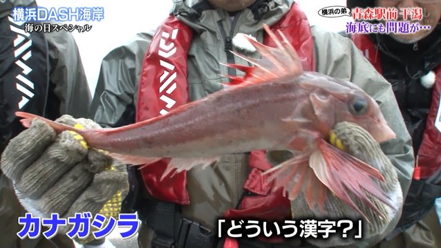 Dash海岸を参考に作ったものの生き物が来ない 青森駅前干潟 をtokioが改善した結果5分でカニが来る 鉄腕dash 2ページ目 Togetter