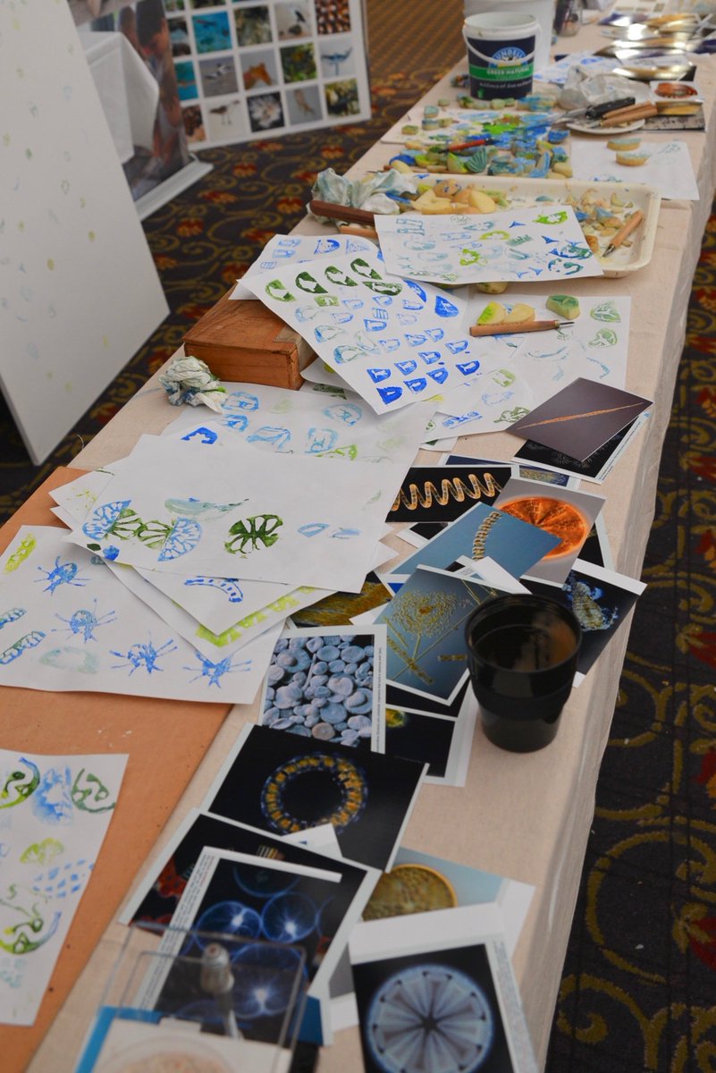 SeagrassLiz's tweet photo. #ArtMeetsScience What is the #zooplankton #phytoplankton richness @AMSAconf? A special thanks to Angela Rossen for inspiring the creative side in #marinebiologists Simple, effective, #plasticfree #AMSA2019 https://t.co/FQJzh4D4N0
