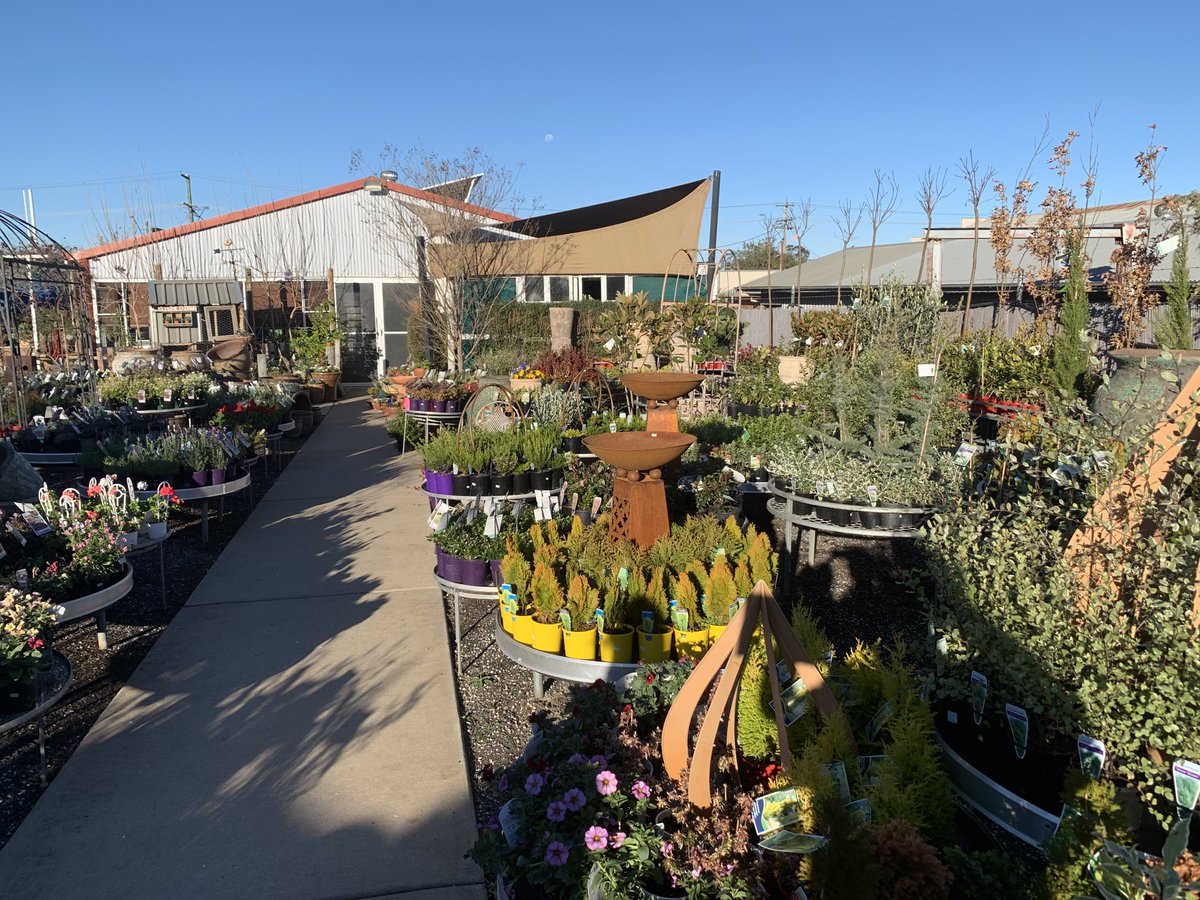 Michael Rowland tweet media