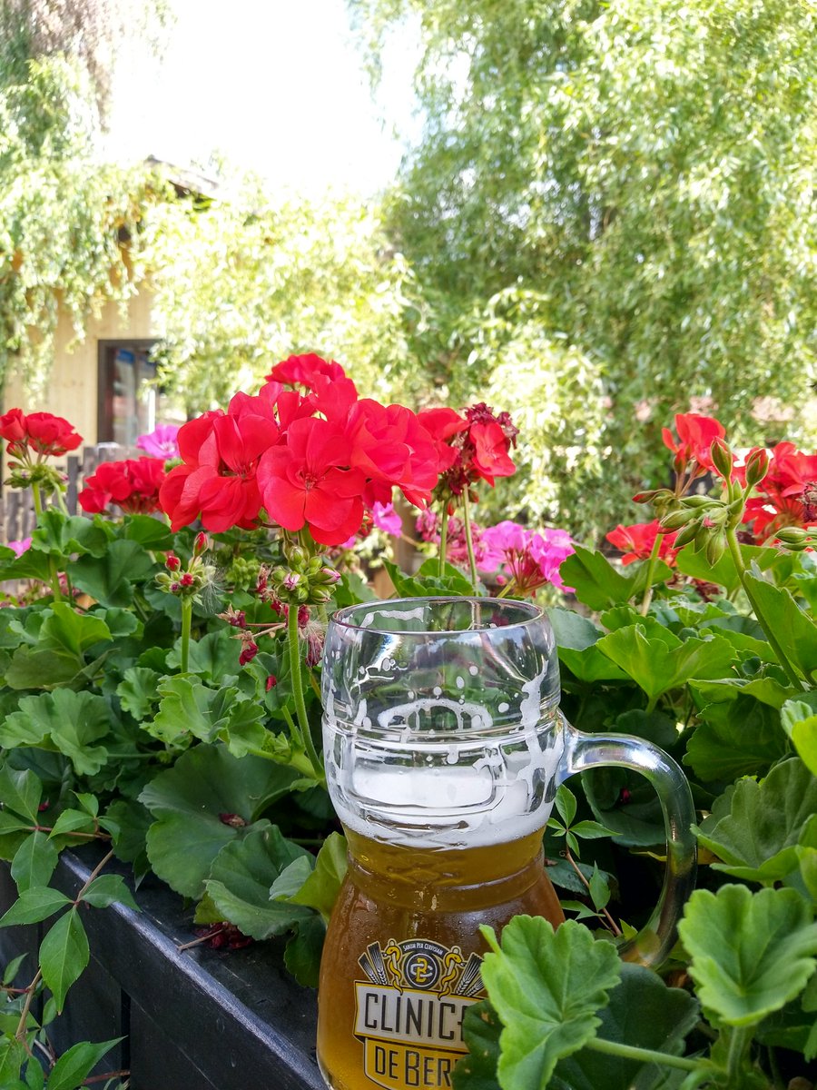 theetlrblog's tweet photo. Sundays done right

@exp_romania @RomaniaTourism @VisitRomania_co 

#BeerTime #ExperienceRomania https://t.co/eGZTeVrCja
