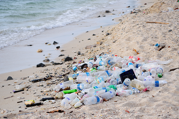 TheCleaningQ's tweet photo. Litter on the beach is a growing problem not only in Maldives but across the globe as well.
Source: https://t.co/JxLzSjKECL
#TheCleaningQuest #CleanerBeach #CleanerOcean https://t.co/vw65sKrH1h