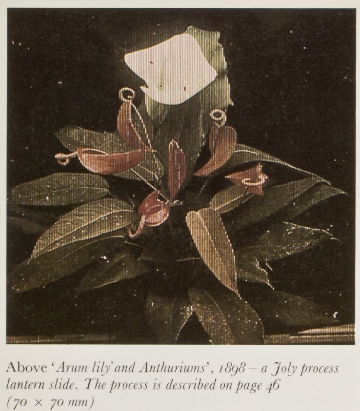 lorraineelizab6's tweet photo. @CamdenFtMeagher @tcddublin @UNESCO @BirrCastle @JacobsSnacks 1894: Joly colour screen created by #Bracknagh, Co #Offaly's John Joly. Could not achieve look of "natural colour". Many of his colour slides esp botanical subjects held by @NLIreland. @tcddublin (Engineering & Modern Literature), then Chair Geology & Mineralogy. #IrishInventions https://t.co/oskPhBMfeM