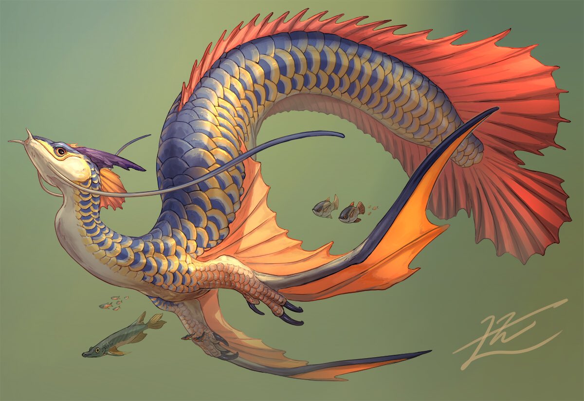Рыбы дракон дети. Морской дракон (Draco Marinus). Рюдзин морской дракон референс. Линдворм дракон.