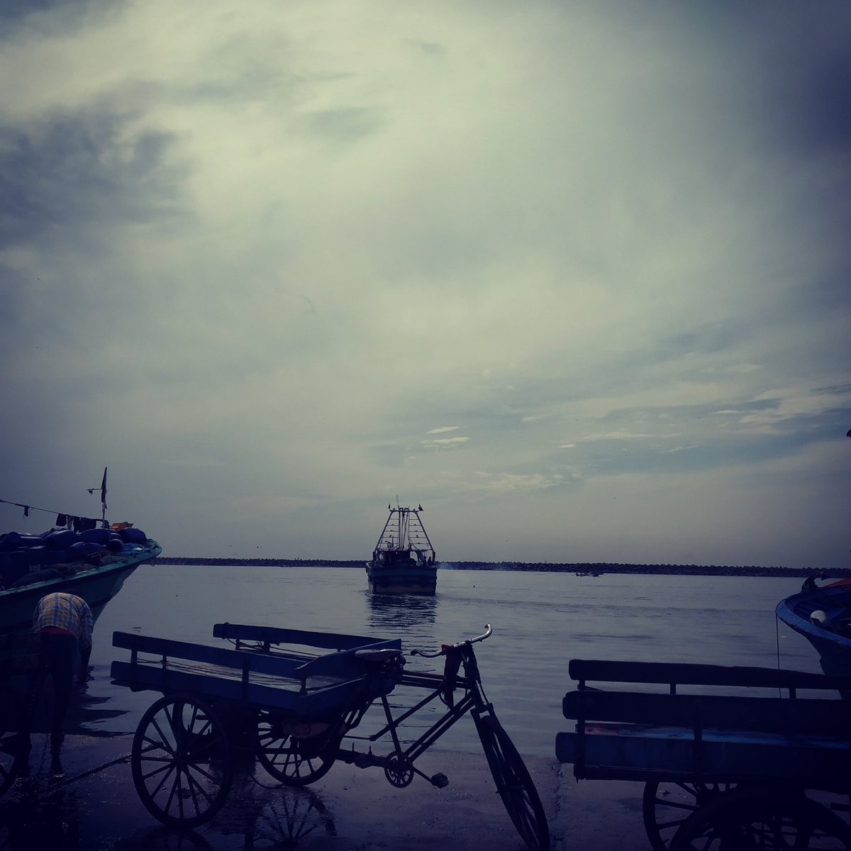 sang1983's tweet image. Kasimedu #fishhub #Chennai