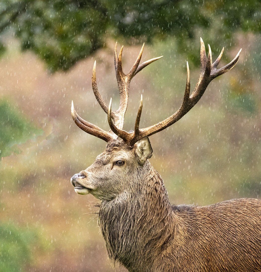 The four winners from Round 3 of our 2019 Digital League - you can’t tell which ones are Novice + Intermediate, and which are Advanced or Elite. Well done Chris O’Hara, John Ruegg, Anne Bradley &amp; Nick Carter!