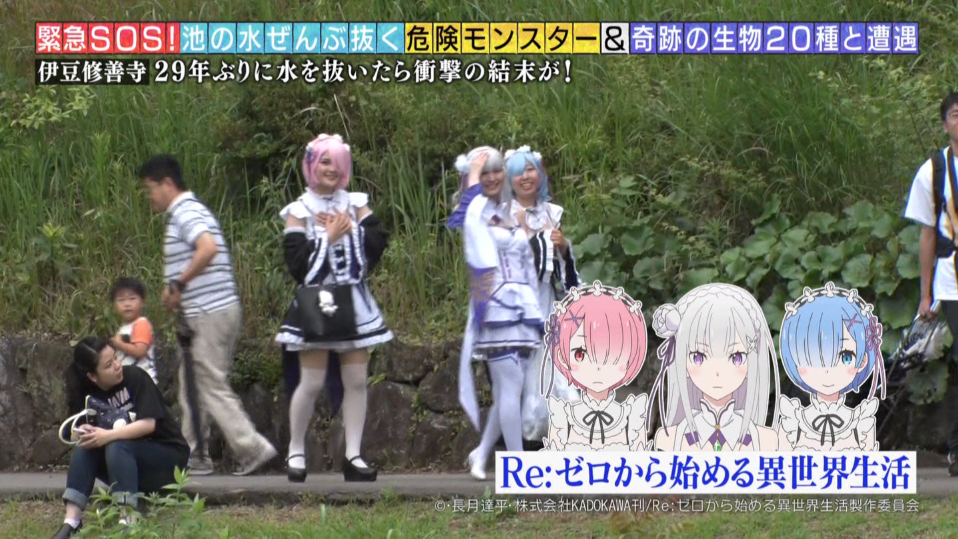 Larmes On Twitter 池の水抜いてたら変わった生き物を見つける 池の水ぜんぶ抜く