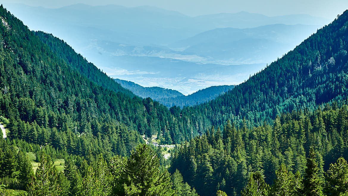 scbholidays's tweet photo. Bankso in Bulgaria is perfect for hiking in summer and skiing in winter, and is much more affirdable than a lot of other European resorts

#bankso #bulgaria #ski #snow #skiing #skiresort #snowboarding #hiking #holiday #forest #mountains https://t.co/eJIszyHpbC