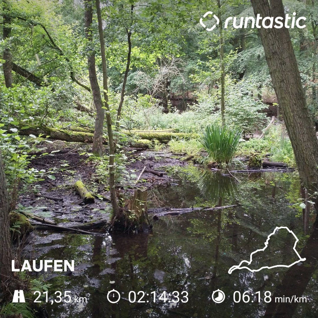 UdoBarnebeck's tweet photo. An other kind of #cityrun #gorunberlin #berlinläuft #berlinlaeuft #Runtastic . Spontaneous half marathon distance along the lakes of Grunewald. In some places it looks like a tropical rainforest
#Charity #SportforGood
#AllActive #WFL #runningforthosewhocant #Worldrun #WFLWorldrun https://t.co/0RhCI726Rl