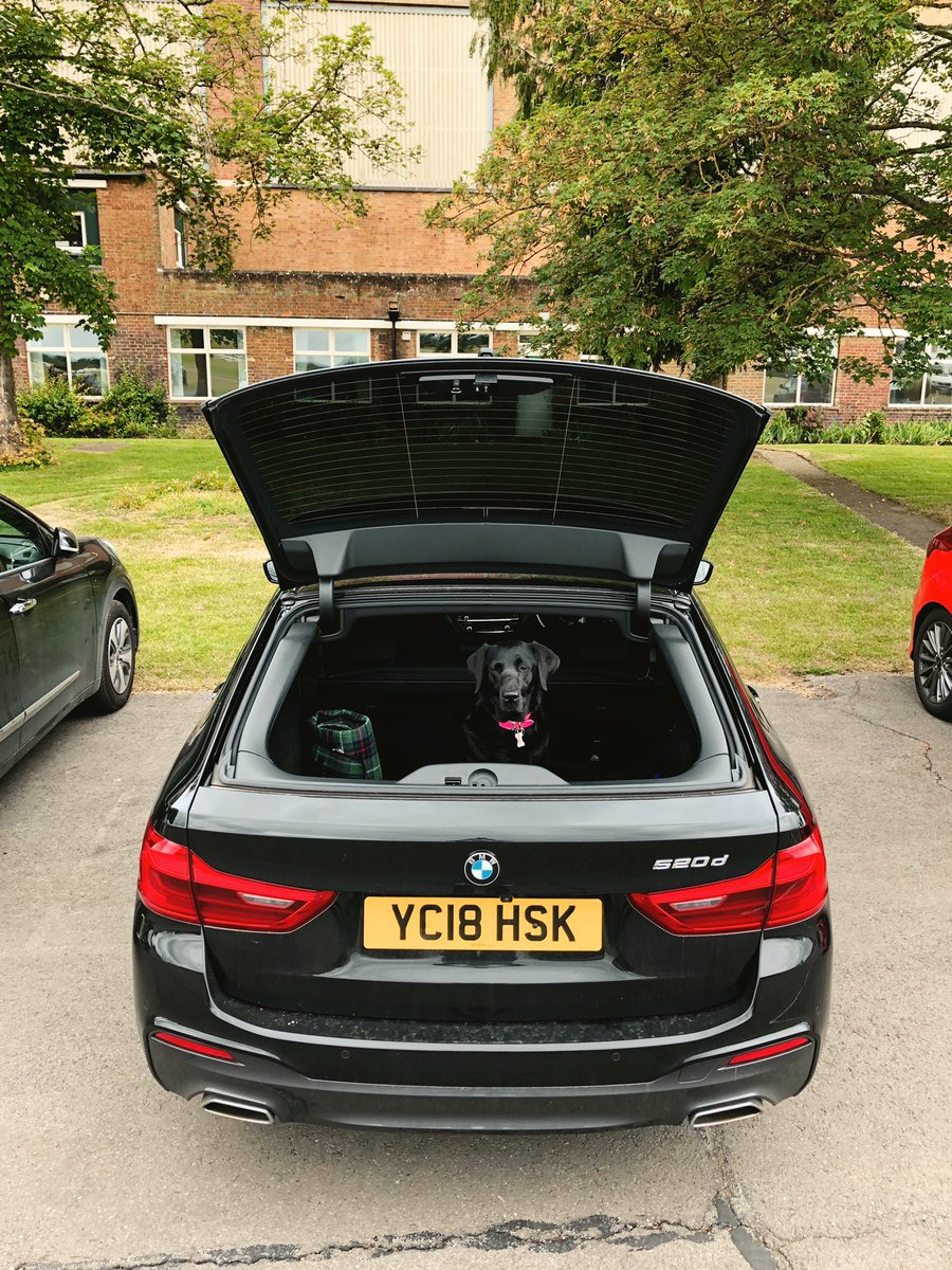 Was never too sure about the rear glass on the boot being openable, but today I found out it’s true purpose.... #dogs