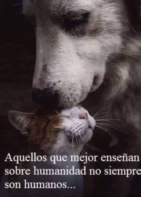 JavMaSa's tweet photo. https://t.co/IyvbNHYkIl