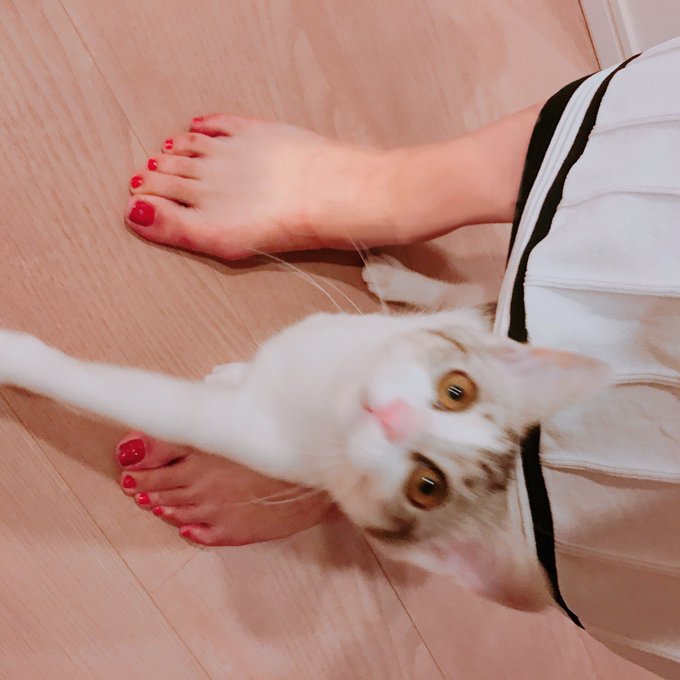 Twitterのコスプレ画像24