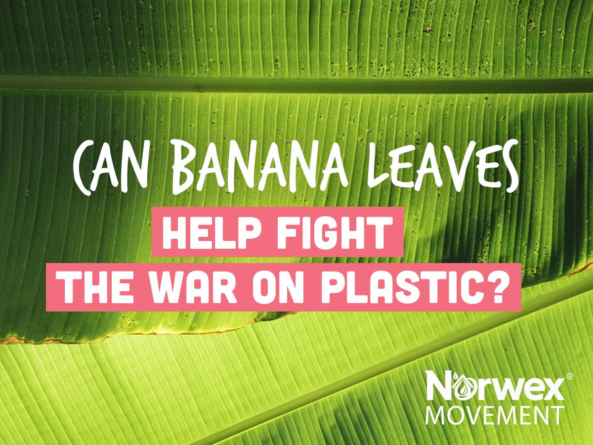 A Small Town's Successful Journey to Freedom from Plastic bit.ly/30pzfc6
