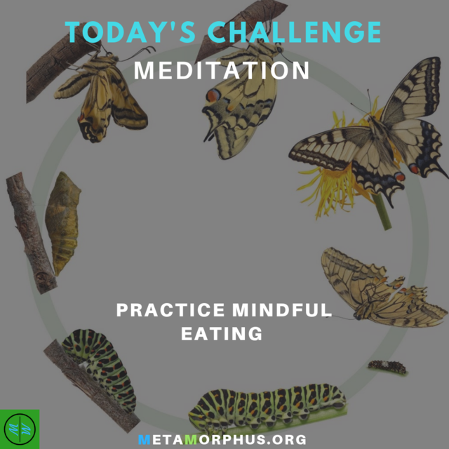 Metamorphus_org's tweet image. Today's Meditation Challenge is to practice mindful eating.

Let go of any worries or thoughts to focus in on your meal. Be fully aware and present during your meal.

More at metamorphus.org