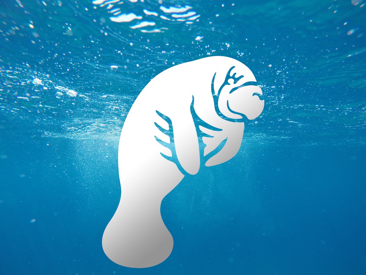 🚨 New Sticker Alert 🚨

Seems appropriate to share our new Manatee sticker on #NationalNudeDay! 

Get yours 👇
inbloomstickers.com/products/296/m…