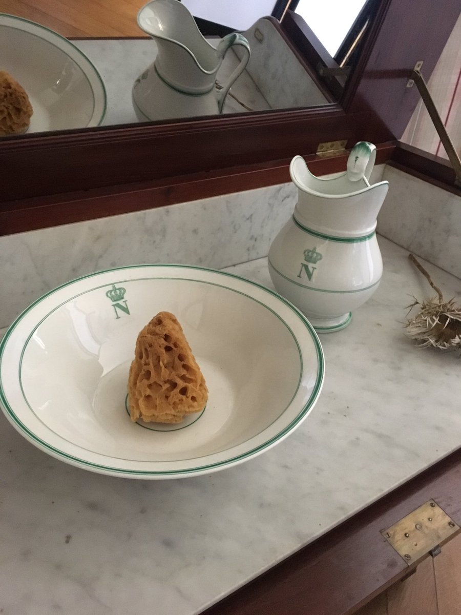 adriengoetz's tweet image. Quelle émotion de retrouver la chambre bleue de la jeune @MathildeBonap au château d’#Arenenberg, dans cette maison d’exil qui est comme le creuset où s’est inventé le #SecondEmpire 🇫🇷🇨🇭🍊