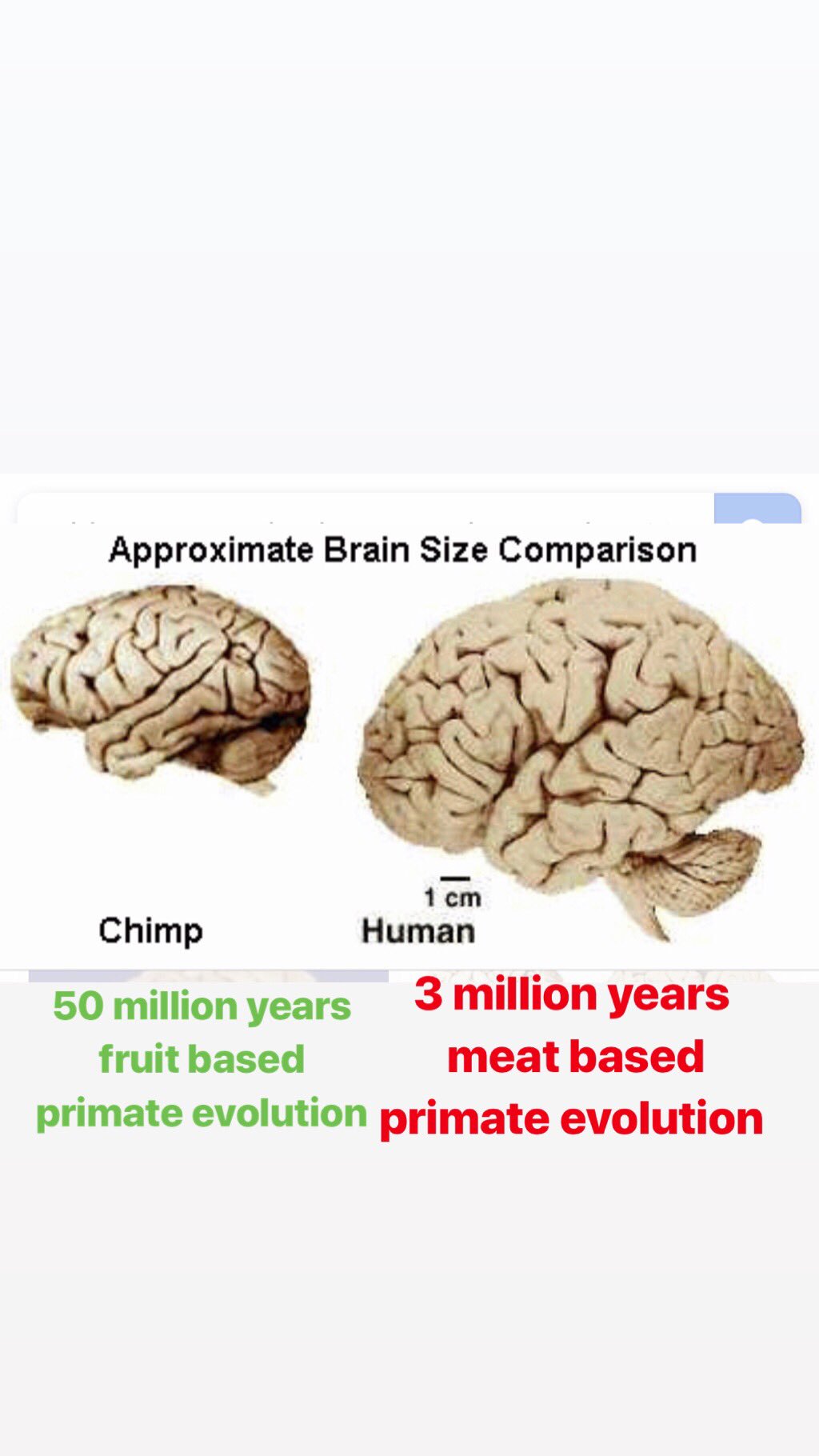 Dr Shawn Baker 🥩 on X: 