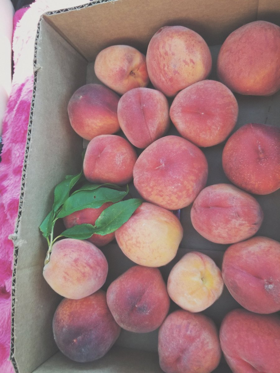 ThePeachyDays's tweet photo. My aesthetic 🍑 https://t.co/N4N8wolHnL