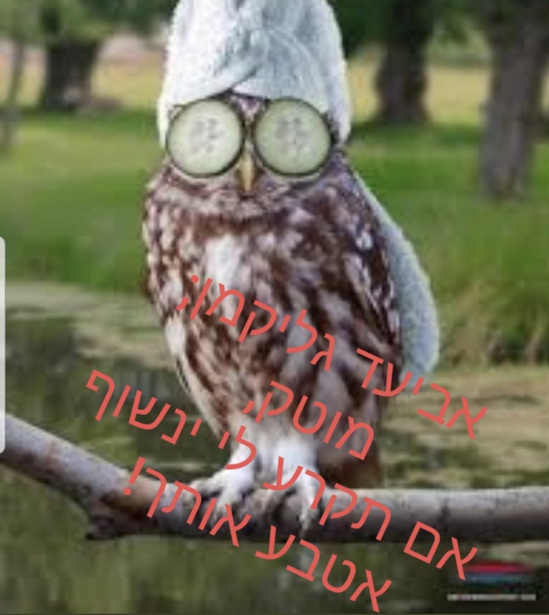 ההסתבכות של יאיר נתניהו ? D_c5NXmWsAIMhZm