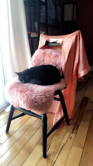 Why is she so fashion today tho??? https://t.co/eGcmghHcVw