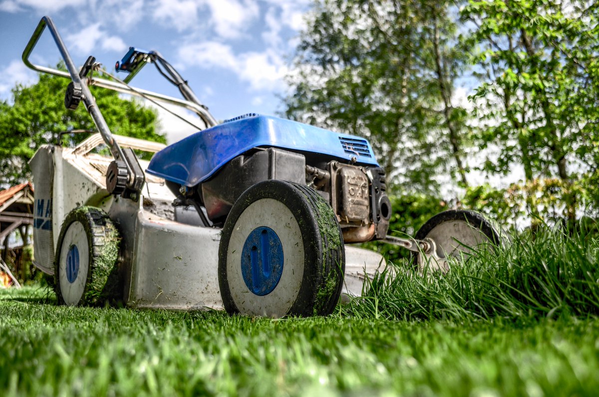 CentralStateCSB's tweet photo. Show of hands – who mowed the lawn for extra cash growing up?!? 🙋‍♂️🙋 #centralstatebank #summerchores #summerjob #lawnmowing #communitybank #familybank #summeriniowa https://t.co/cbVASxoJrg