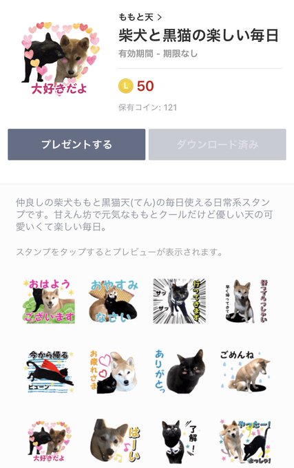柴犬と黒猫の楽しい毎日のtwitterイラスト検索結果