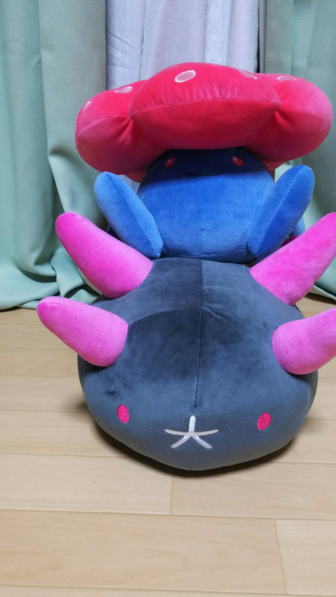 グラッセ 予約購入したぬいぐるみが到着 ワーイ 前に買ったナゾノクサも並べてみる ポケモン ナゾノクサ ラフレシア ナマコブシ もちふわクッション グラッセ 予約購入したぬいぐるみが到着 ワーイ 前に買ったナゾノクサも並べてみる ポケモン ナゾノクサ ラフレシア ナマコブシ もちふわクッション