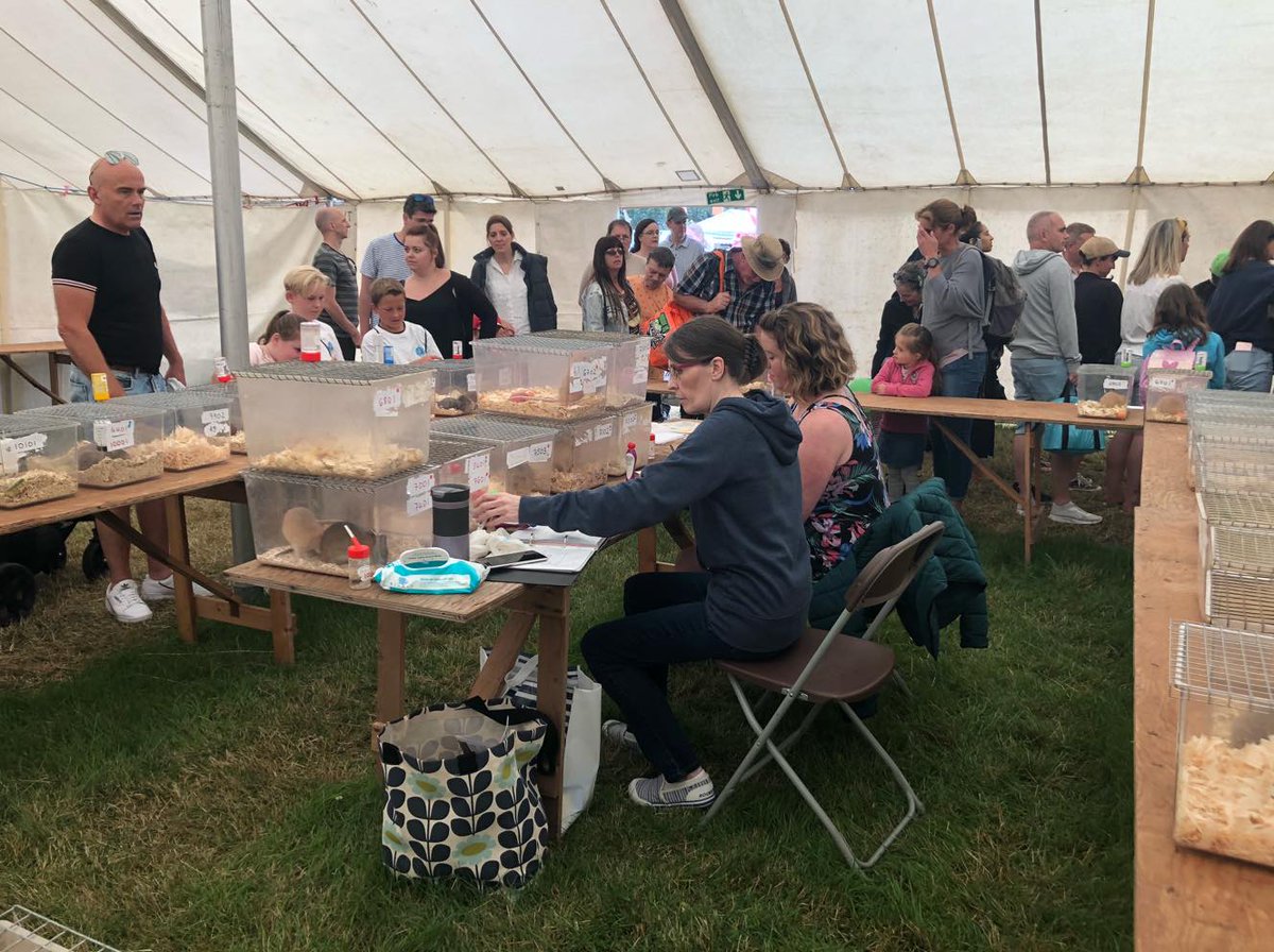 NFRSoc's tweet photo. Great day at the @tendringshow yesterday.
Thank you to everyone who came into the tent to meet the rats and to the Tendring Show for having us 🐀
#tendringshow #tendring #rats https://t.co/HyzmKoBPV2