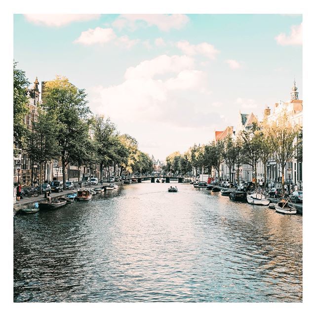 LocalGoodsAdam's tweet photo. Check out our new photo on #instagram! #localgoods #Amsterdam https://t.co/oHs6Ondl37