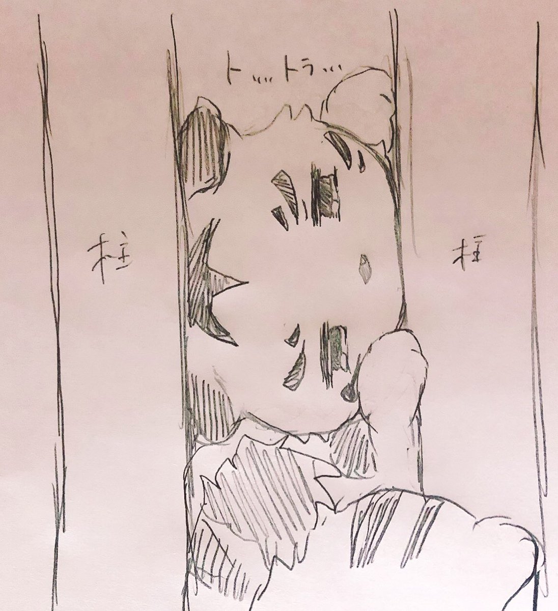 トラチはヒゲないから自分が通れるか通れないかイマイチよくわからないため、狭いトコによく挟まってるとかわいい 