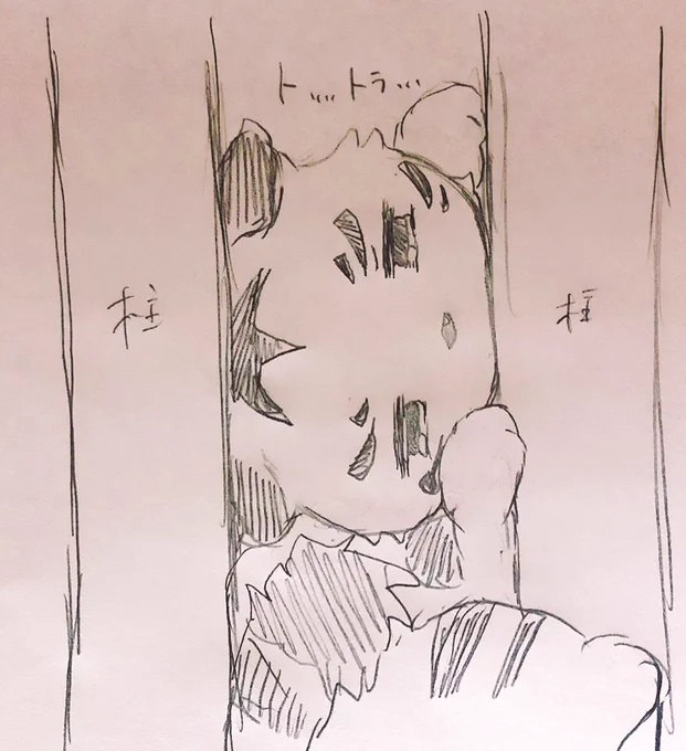 トラチはヒゲないから自分が通れるか通れないかイマイチよくわからないため、狭いトコによく挟まってるとかわいい 