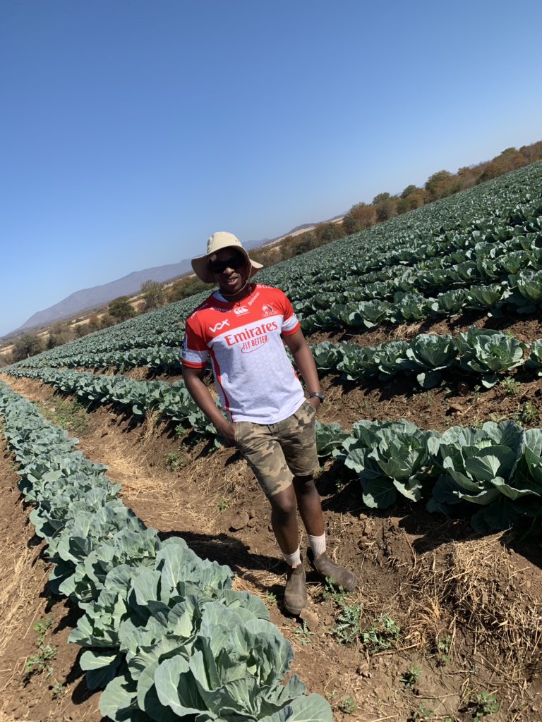 HolaAK's tweet photo. #makepisi farm visit. Remember this farm. @joburgmarket @HolaAK https://t.co/iRnFrk4FBZ