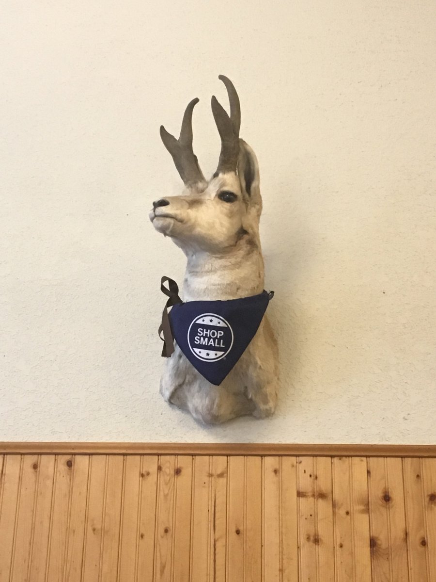PatriceFrey's tweet photo. What a day to visit @downtownlaramie yesterday!  A great tour of downtown, @laramiejubilee parade and Laramie Brewfest. @WyoBizCouncil @visitwyoming @NatlMainStreet @ShopSmall https://t.co/ccEuK64Ew1