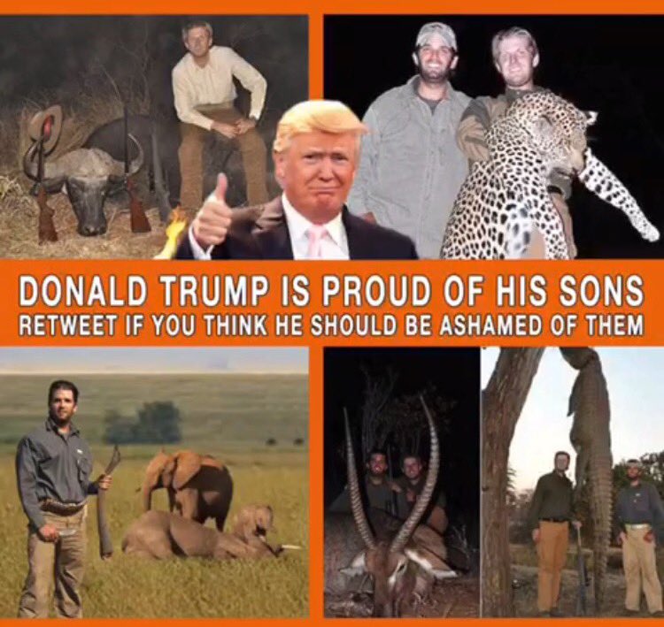 NatTremb_'s tweet photo. #SaveTheElephants 
#SaveEndangeredAnimals 
#trumpSons 👎🏻 https://t.co/9eScGZFetL