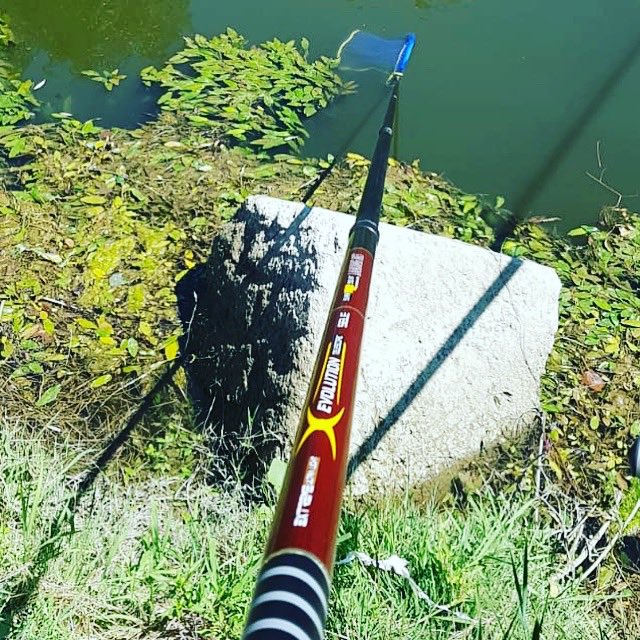 Sele Evolution #landing net handle, extremely light and easy to use. Safe anti-slip grip, and adjustable blocks. High performance and attractive design, ideal for #competition #fishing. 
#fishingcompetition #landingnet #fishlake #freshwaterfishing #capturefish #outdoorfishing