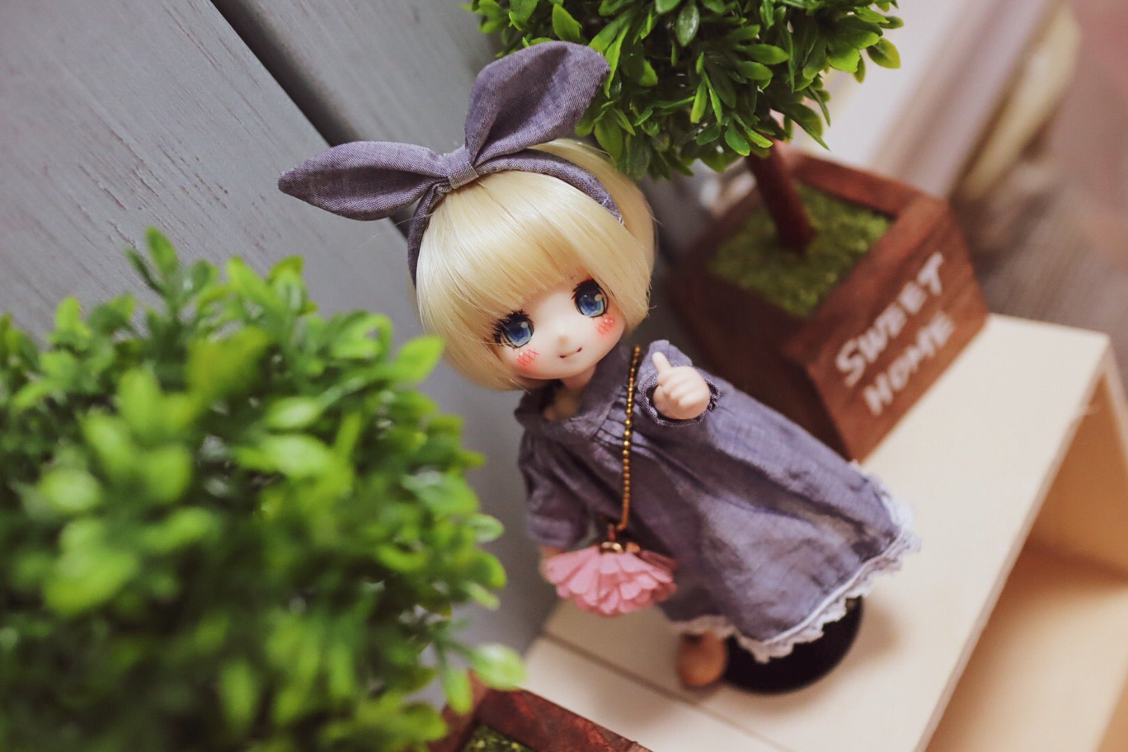 ꒰D.Bloom꒱オーガンジー セットアップ ツーピース茶っぱ緑色 大人セクシー 楽天市場】レースアップビキニ 3点セット/全2色 】 2023 水着